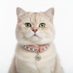 Collection image for: Chats