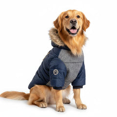 Collection image for: Chiens