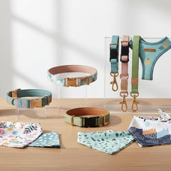 Collection image for: Nouveautés