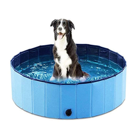 Piscine Pliable pour Chien - Bassin Rafraîchissant Été pour Animaux de Compagnie