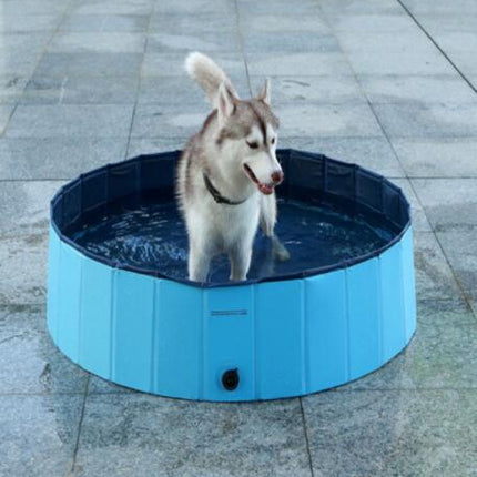 Piscine Pliable pour Chien - Bassin Rafraîchissant Été pour Animaux de Compagnie