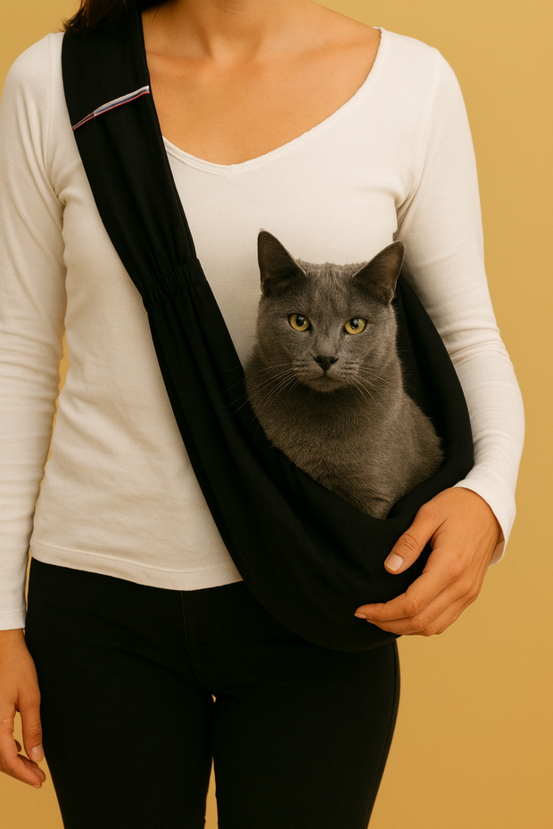 <h6>Accessoires pour vos pets.</h6>